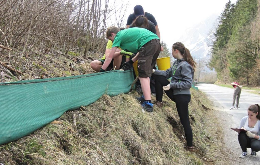 berg-und-naturwacht-liezen-amphibienschutzzaun-irdning-raumberg-HBLFA-2