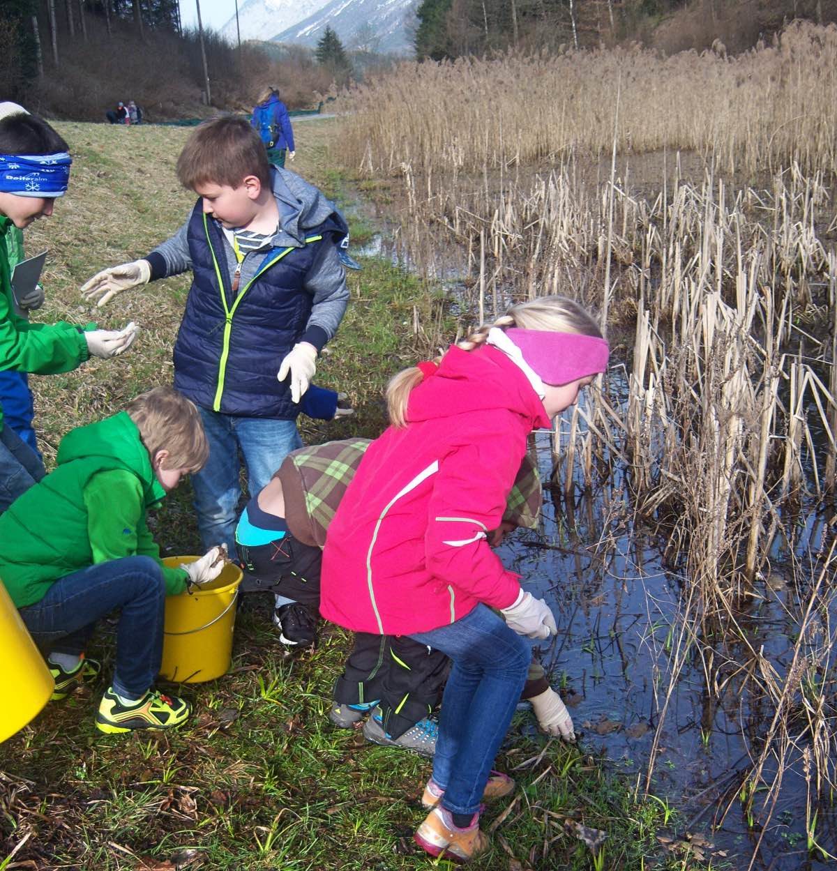 Junge NaturforscherInnen in Irdning