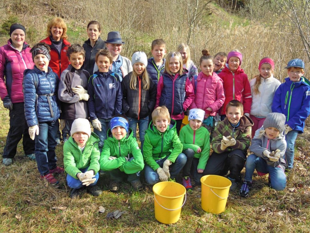 berg-und-naturwacht-liezen-amphibienschutzzaun-irdning-volksschule