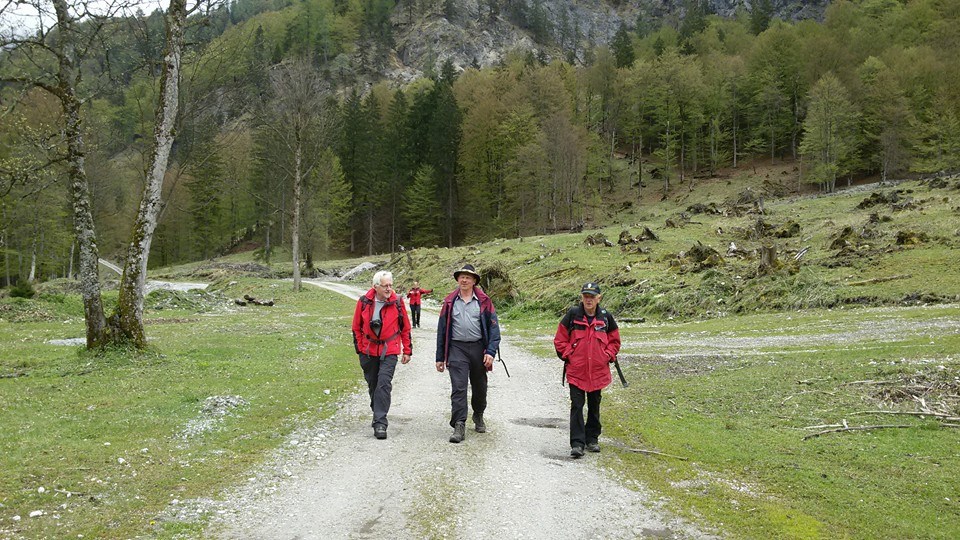 berg-und-naturwacht-liezen-geologische-wanderung-maibruendl-eisenerz-4