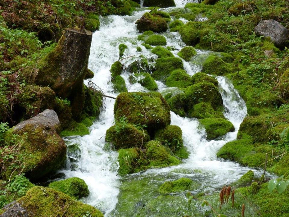 berg-und-naturwacht-liezen-geologische-wanderung-maibruendl-eisenerz-6