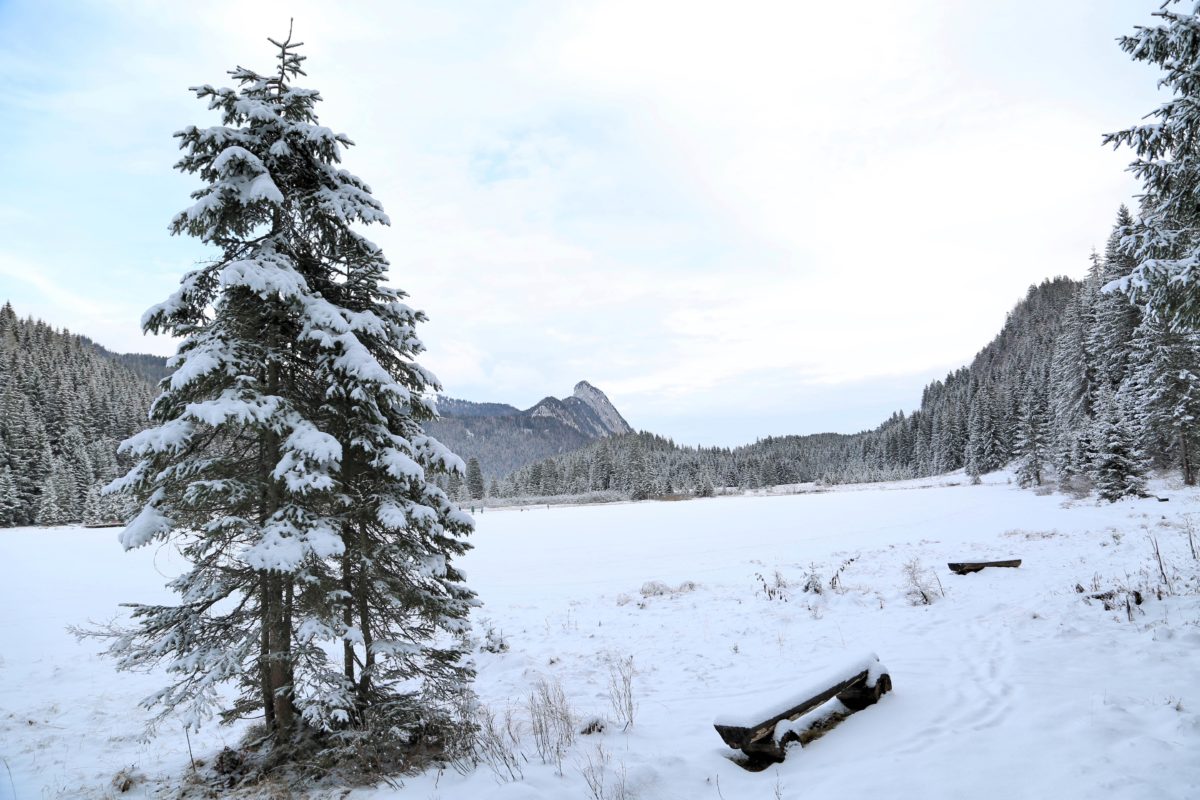 spechtensee-winter-berg-und-naturwacht-liezen-enrico-radaelli-1