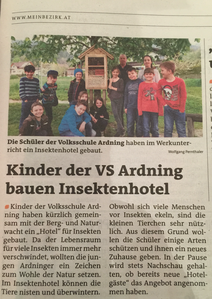 berg-und-naturwacht-ardning-insektenhotel-volksschule-c-wolfgang-pernthaler