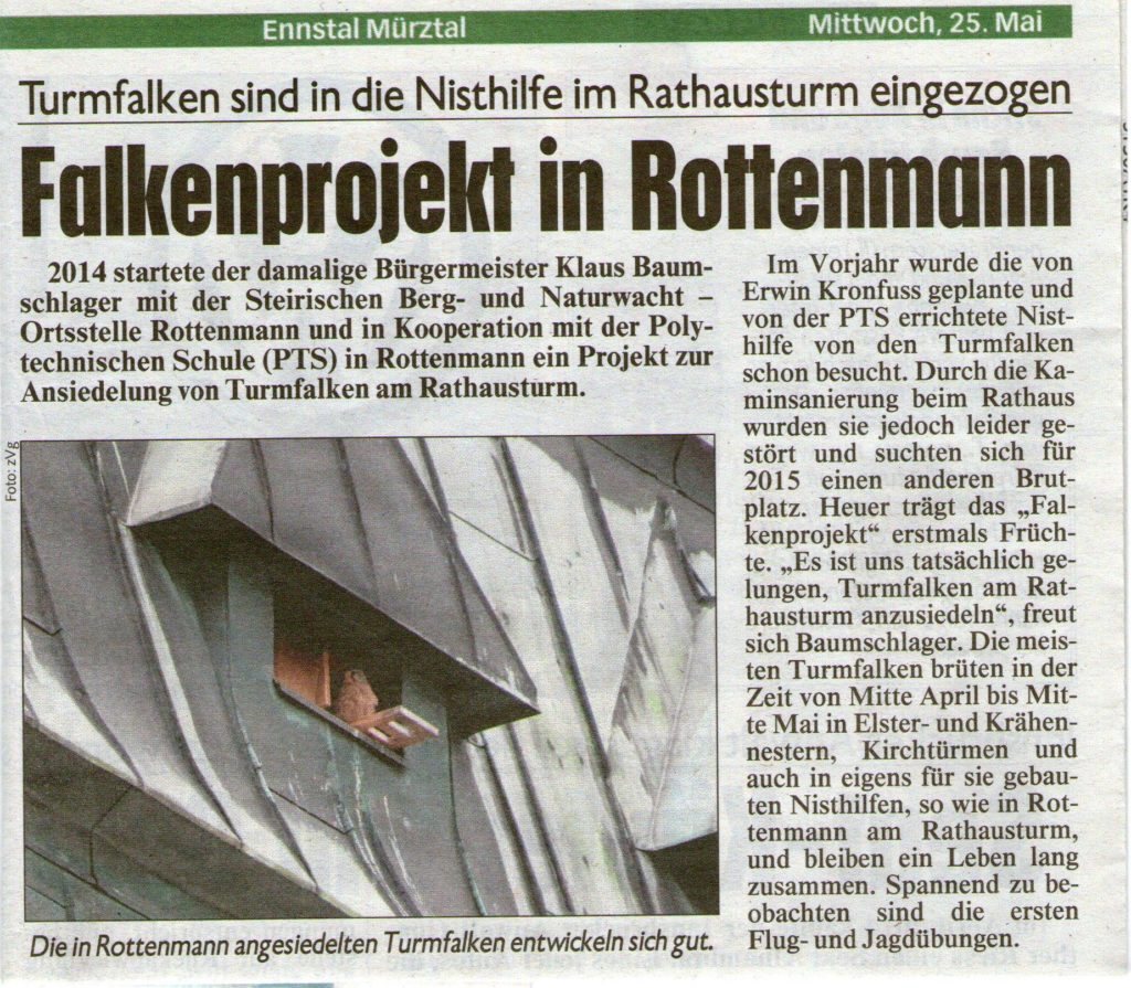 kronenzeitung-steiermark-ennstal-turmfalken-rottenmann-erwin-kronfuss