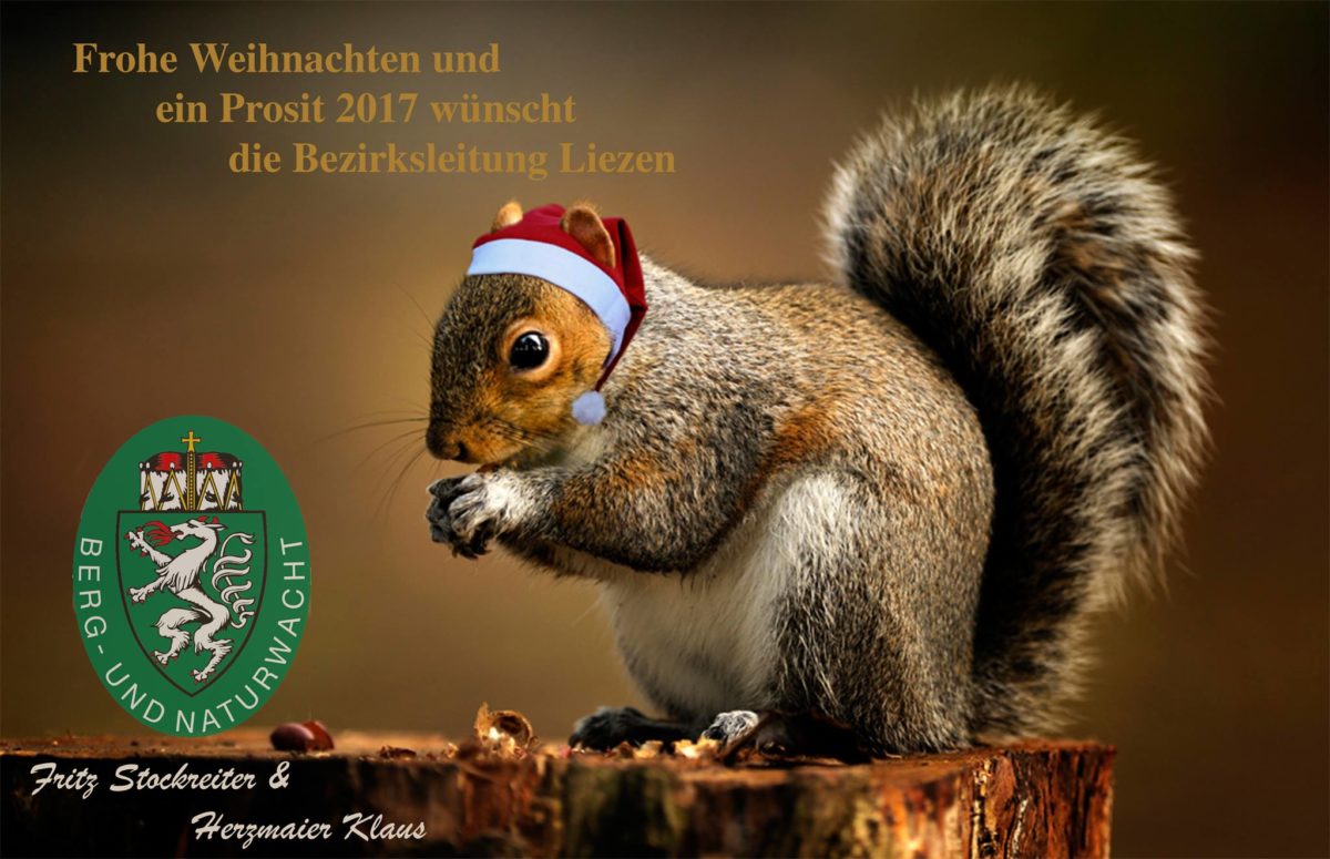 weihnachten-berg-und-naturwacht-liezen-klaus-herzmaier