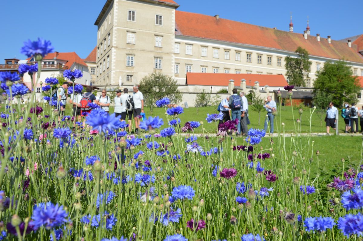 „Nicht für die Schule, für die Natur lernen wir!“