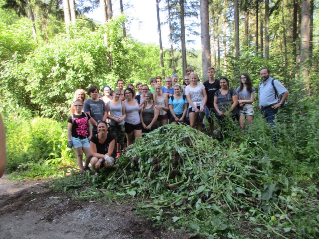 neophyten-aktion-berg-und-naturwacht-rottenmann-klaus-herzmaier-polytechnische-schule_5700